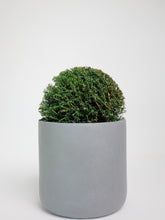 products/SotoProductShootLowQ-2715.jpg